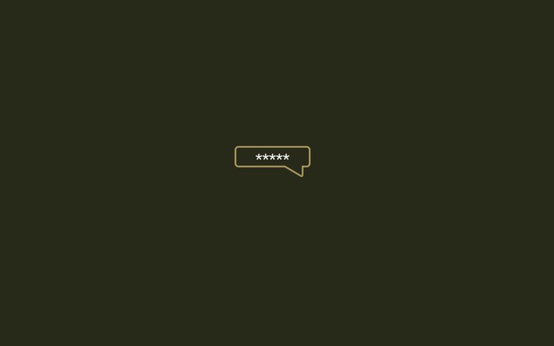 password input icon