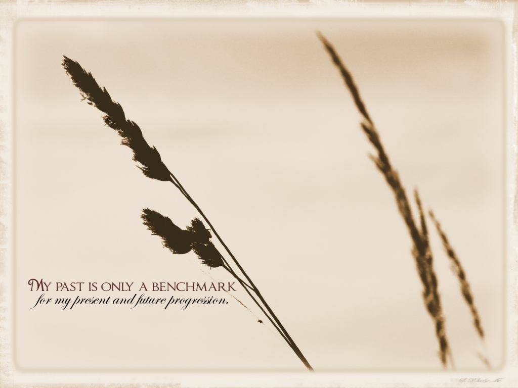 Past as a benchmark