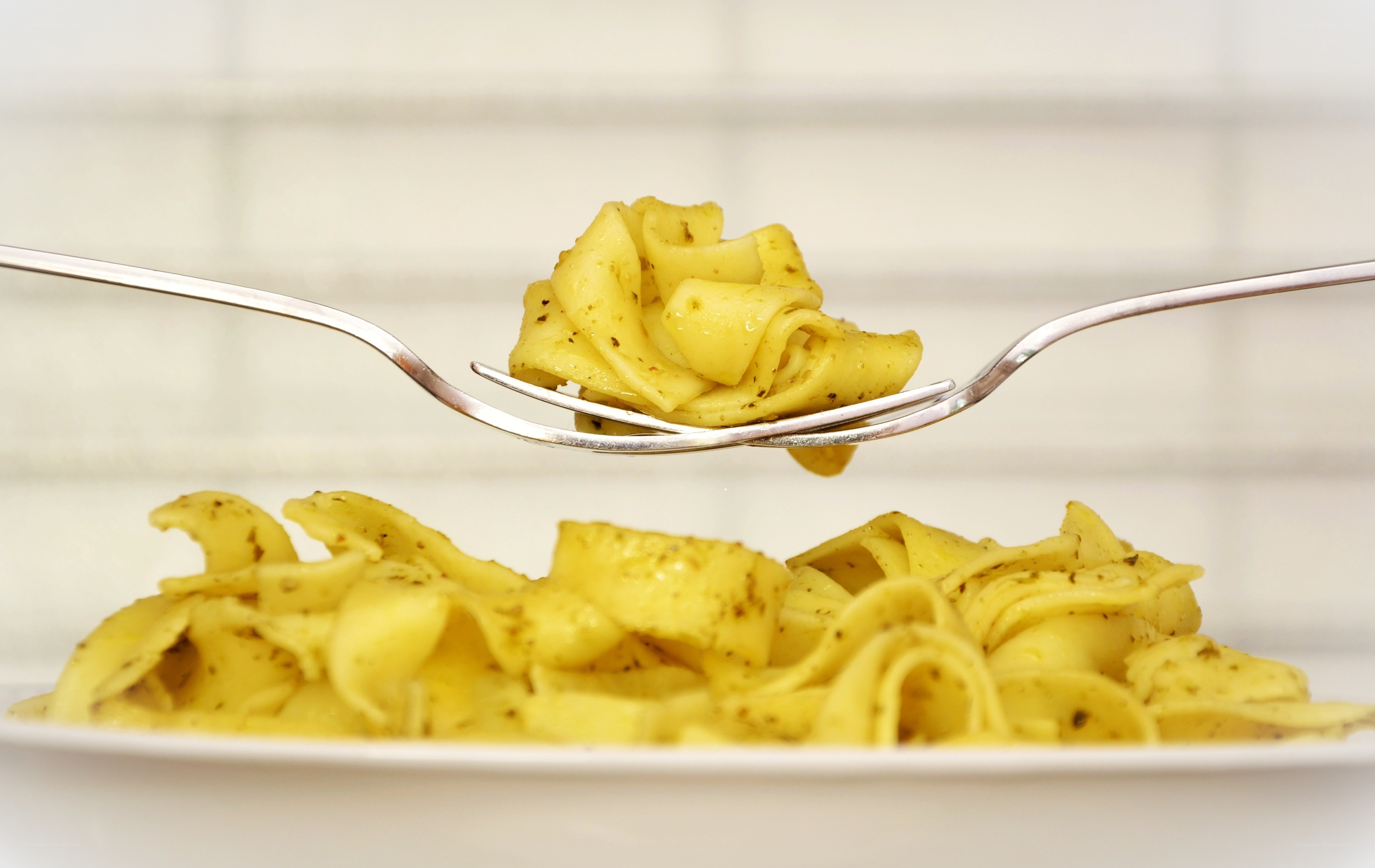 Pasta on a fork