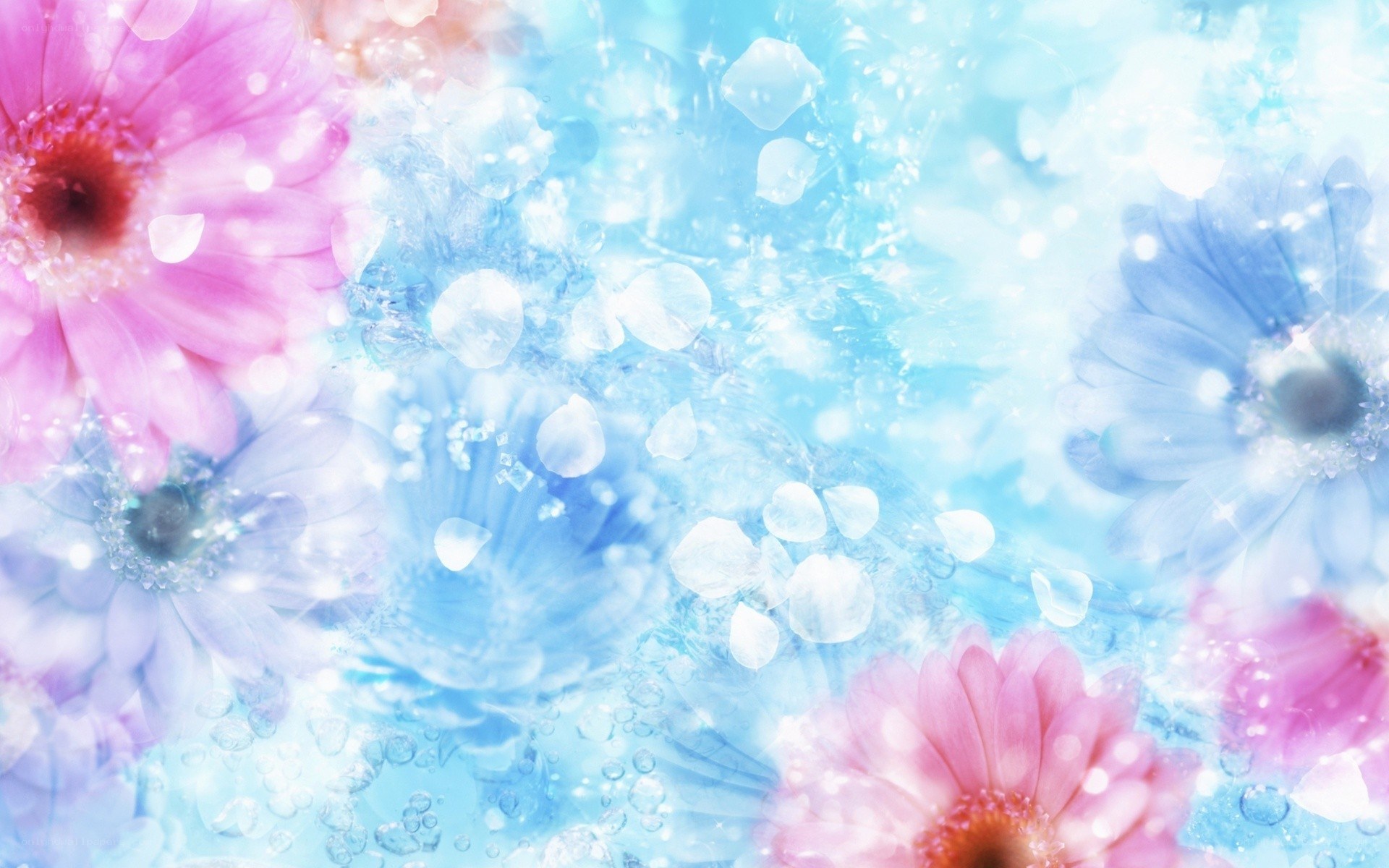 pastel floral dream background