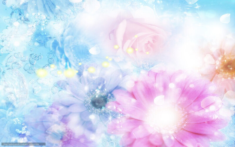 pastel floral dream