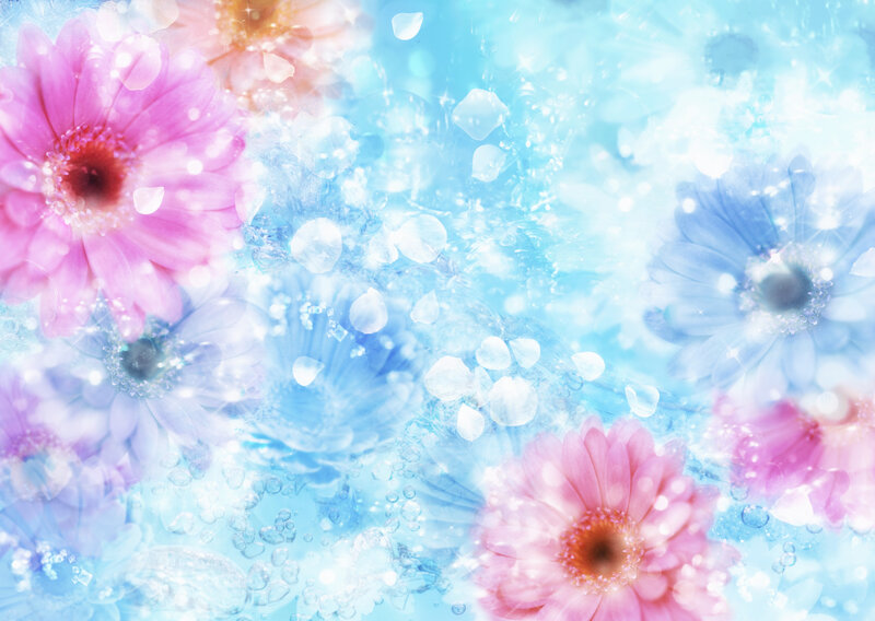 pastel flowers in water