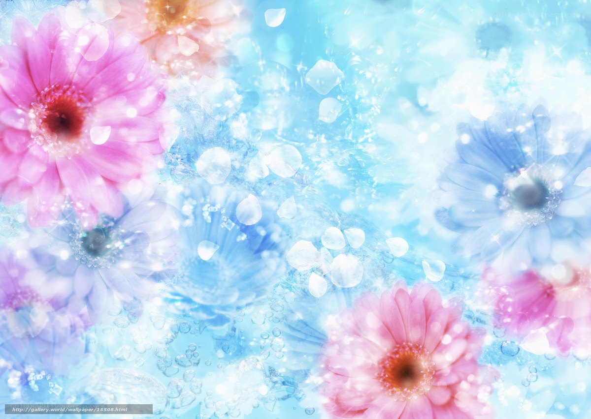 Pastel flowers in water