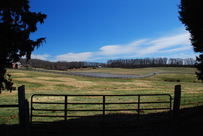 Pastoral Farm Landscape