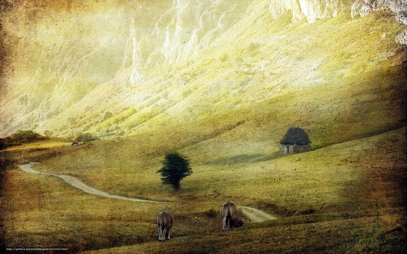 Pastoral valley with grazing cows