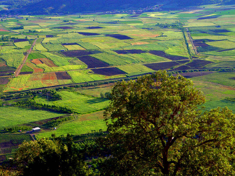Patchwork Fields from Hill