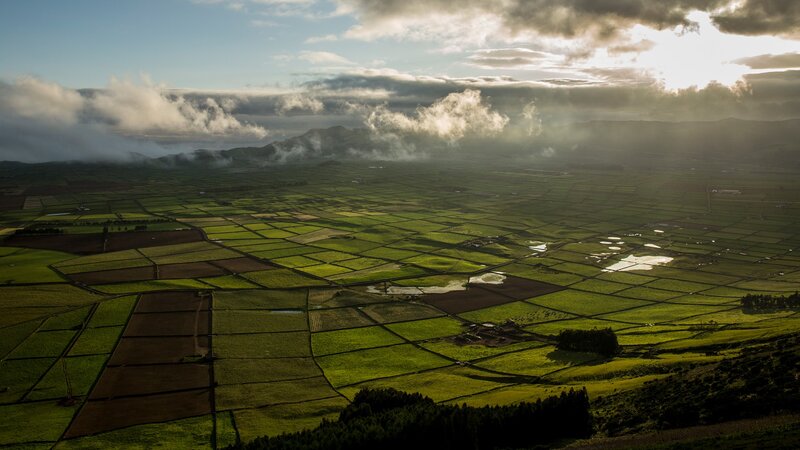 Patchwork Fields Landscape