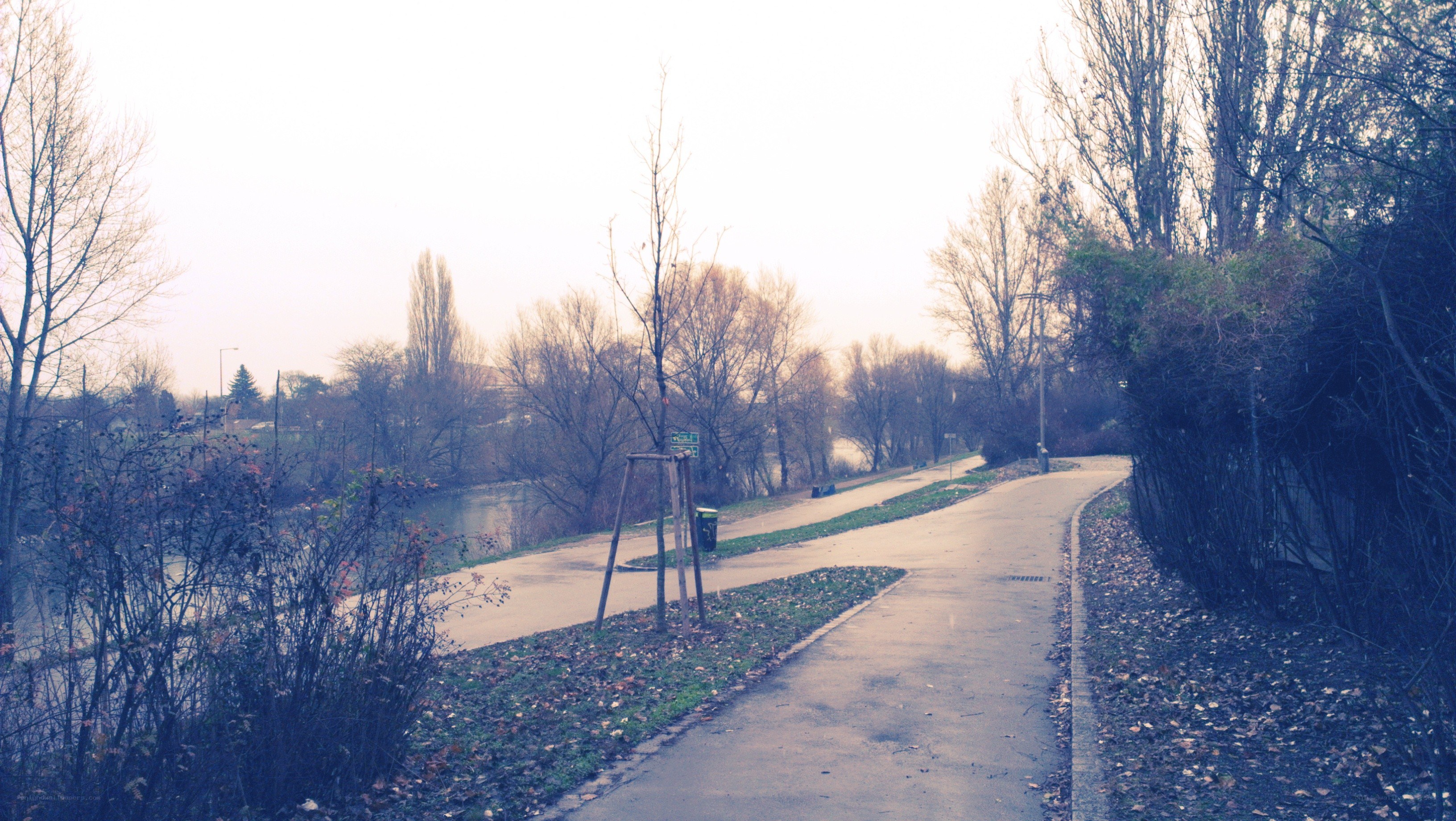 Path along a river in autumn