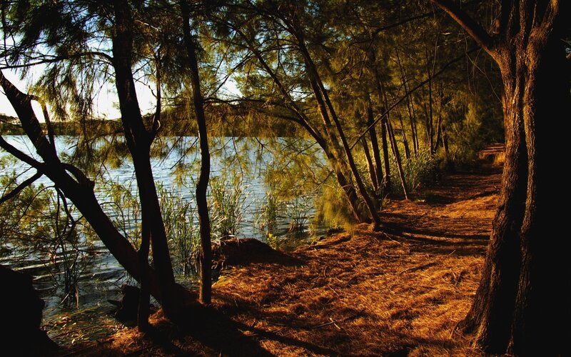 Path Along Lake at Sunset
