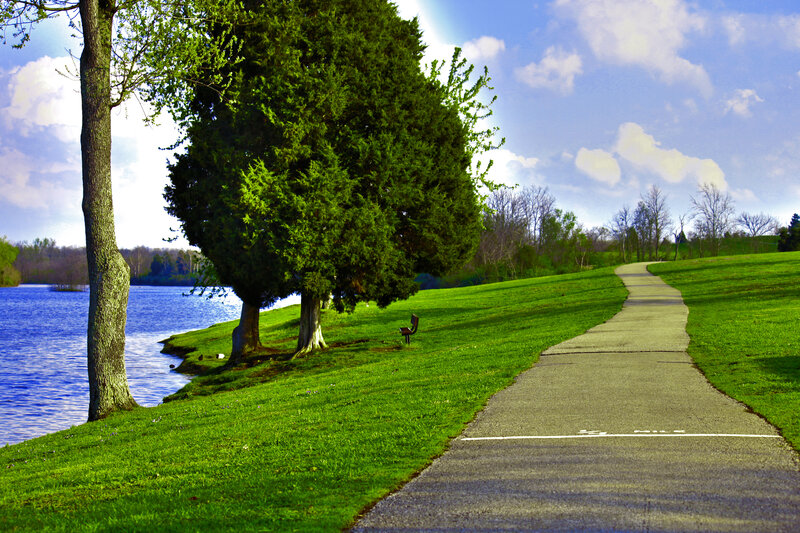 Path Along Lake Shore