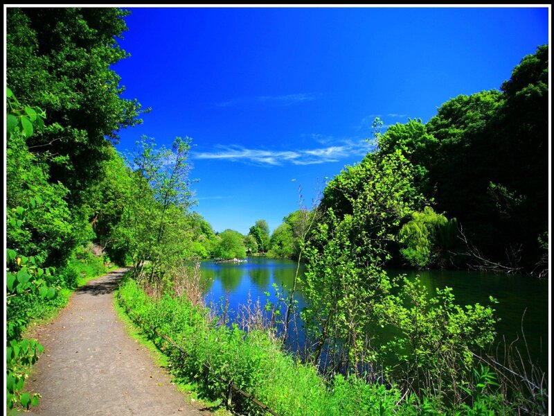 Path Along Riverbank — Blue