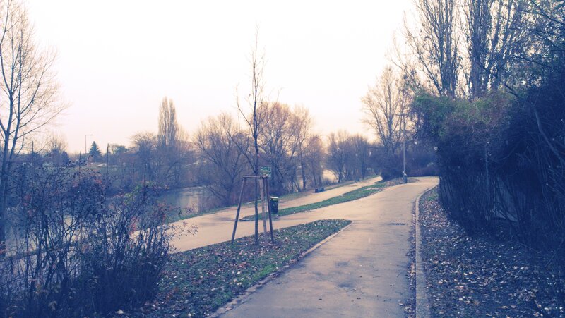 Path Along Riverbank — Gray