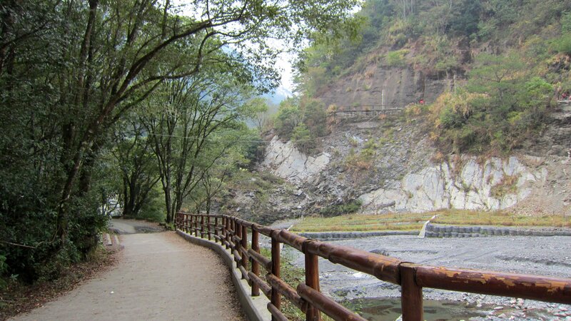 Path Along Riverbank — Green, Serene