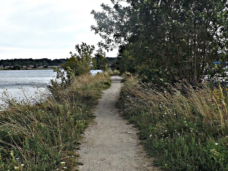 Path Along Riverbank — Green