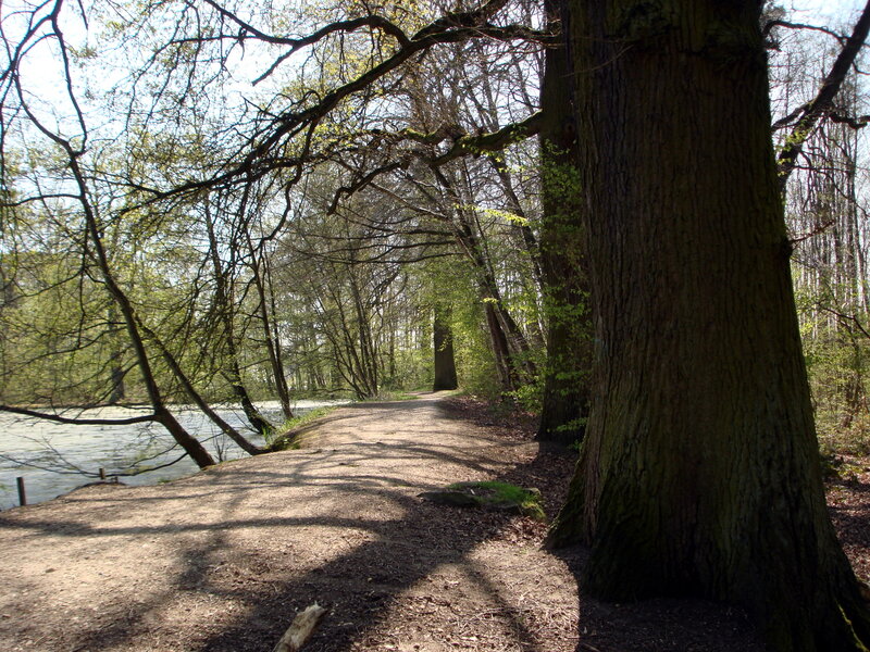 Path Along Riverbank