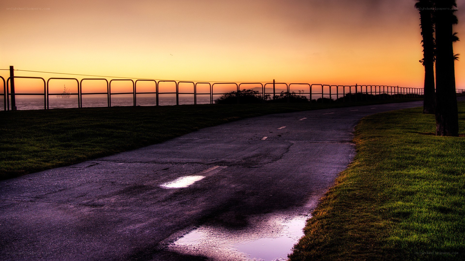 Path at Sunset by the Sea
