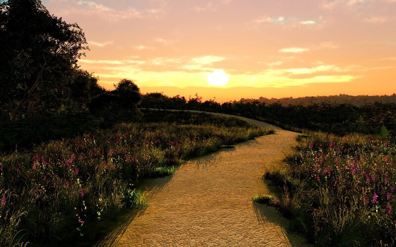 Path at sunset in a meadow
