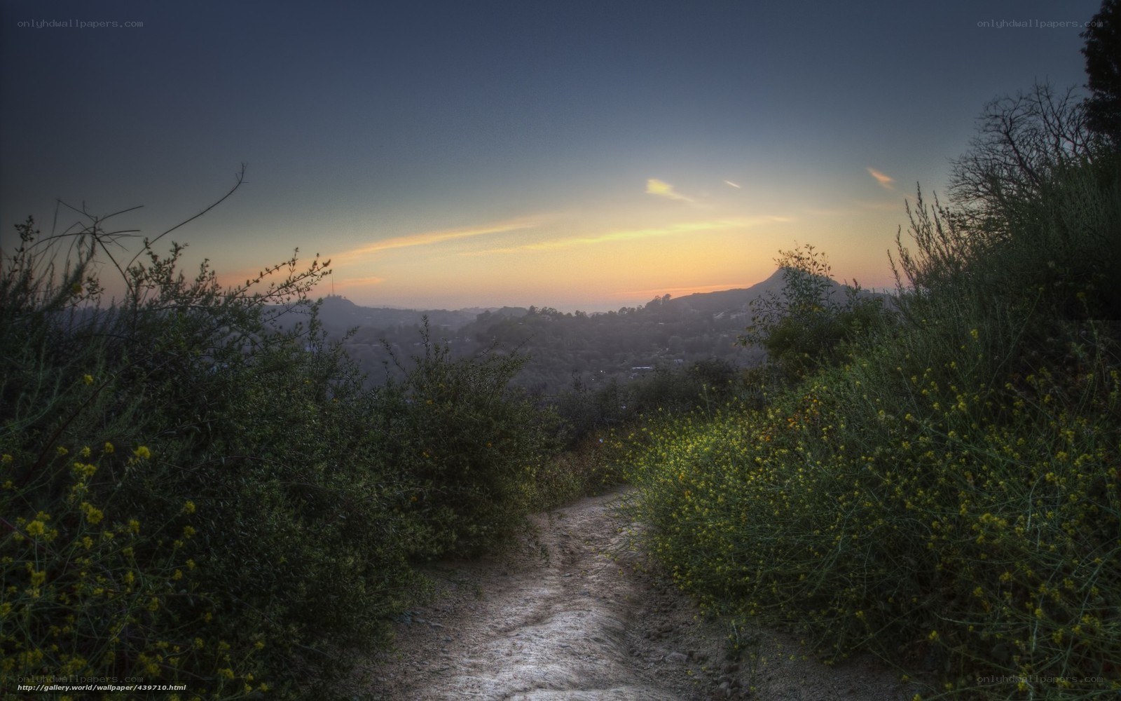 Path at Sunset in the Hills