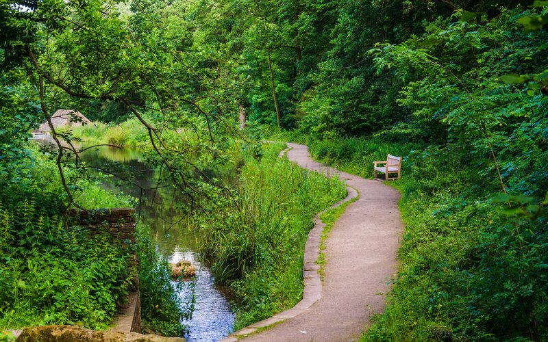 Path beside a serene river