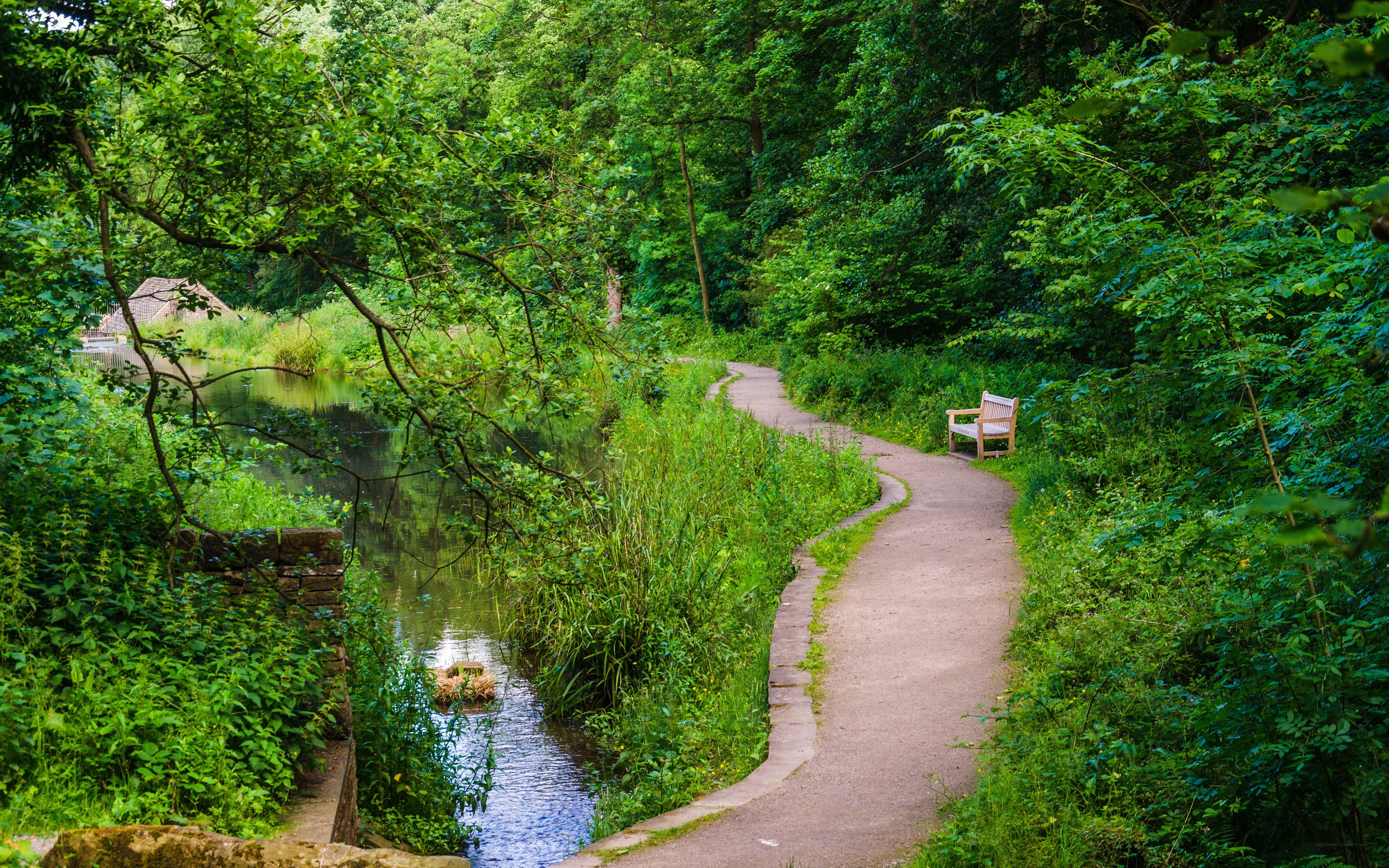 Path beside a serene river