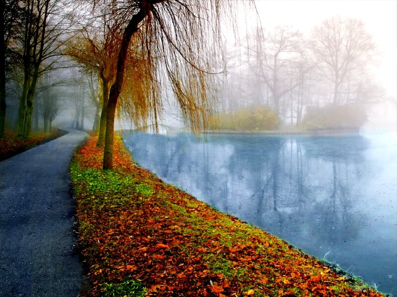 Path Beside Frozen Pond