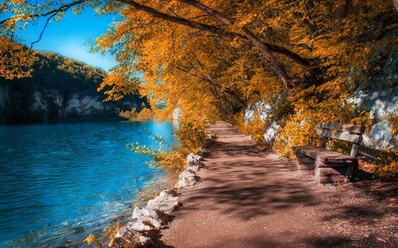 Path Beside Lake — Blue