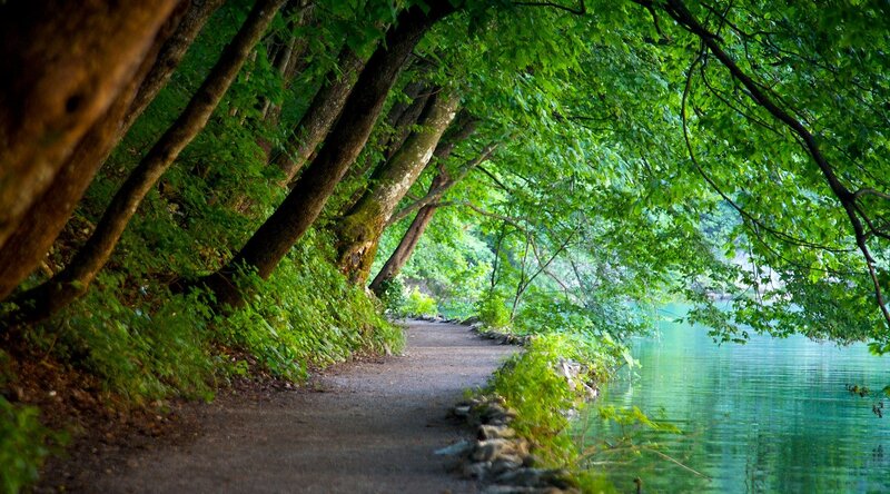 Path Beside Lake — Green, Serene, Afternoon, Photograph