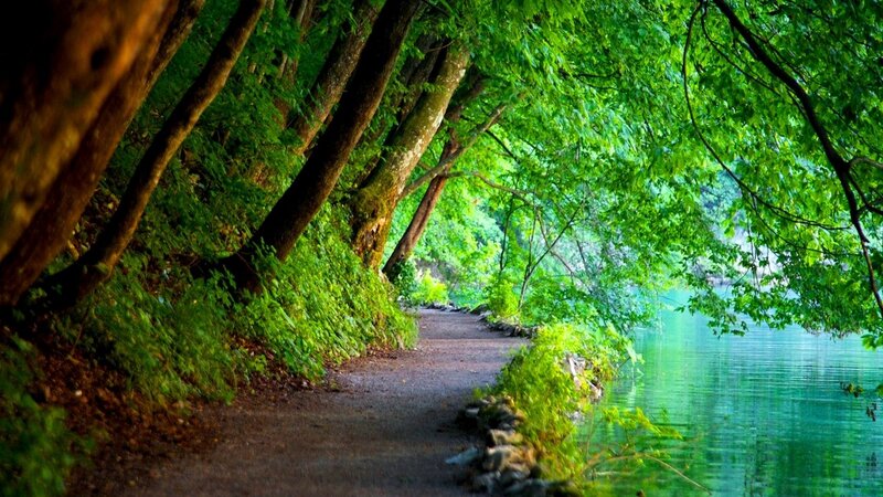 Path Beside Lake — Green, Serene, Afternoon
