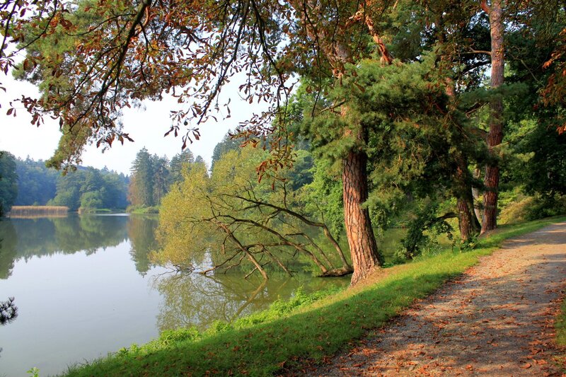 Path Beside Lake — Green, Serene, Autumn