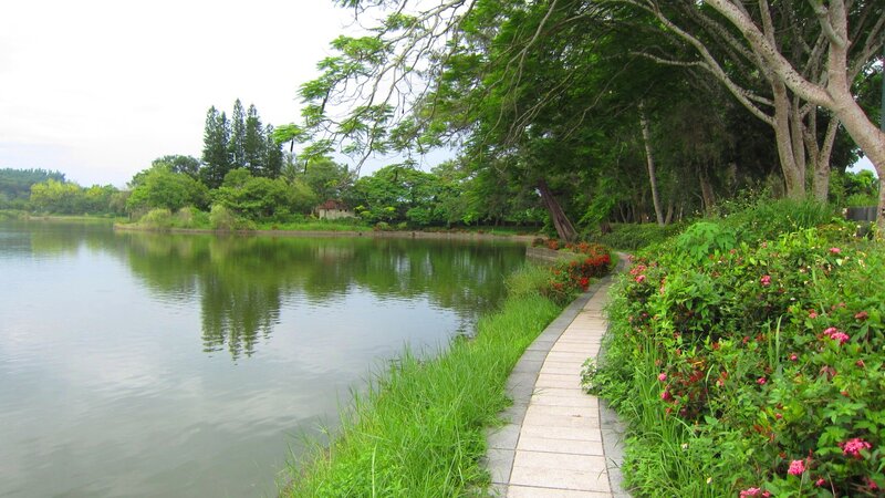 Path Beside Lake — Green