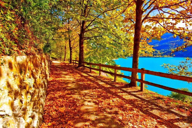 Path Beside Lake in Autumn — Blue