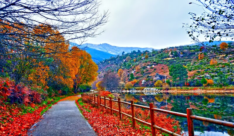 Path Beside Lake in Autumn — Orange