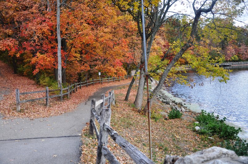 Path Beside Lake in Autumn