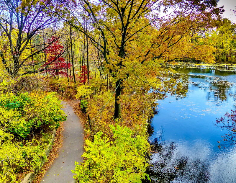 Path Beside Lake in Autumn — Yellow, Serene