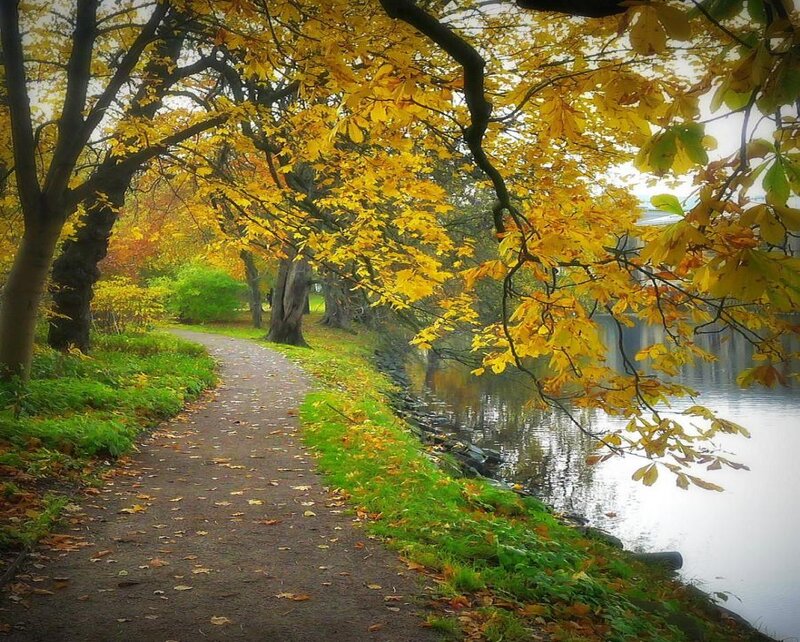 Path Beside Lake in Autumn — Yellow