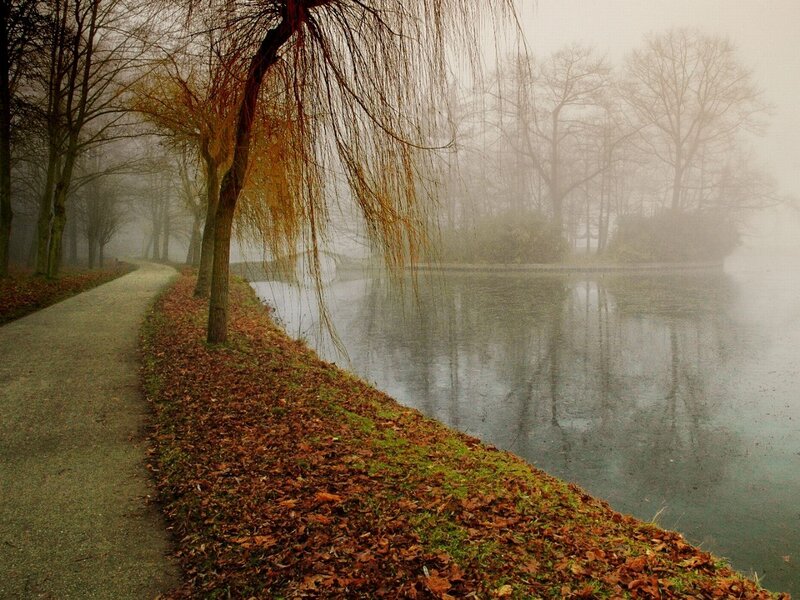 Path Beside Lake in Fog