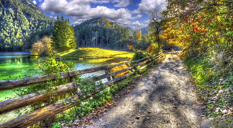 Path Beside Lake in Forest