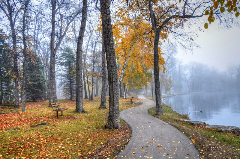 Path Beside Lake in Park — Green