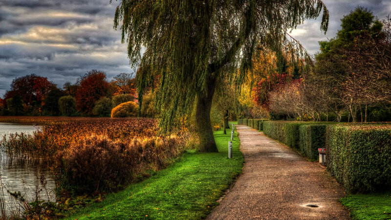 Path Beside Lake in Park