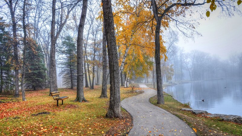 Path Beside Lake in Park — Yellow