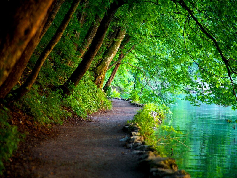 Path Beside Lake