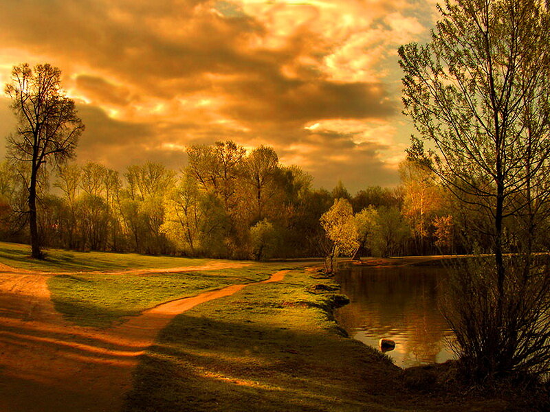 Path Beside Pond at Sunset