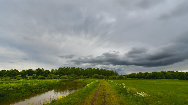 Path Beside River and Field