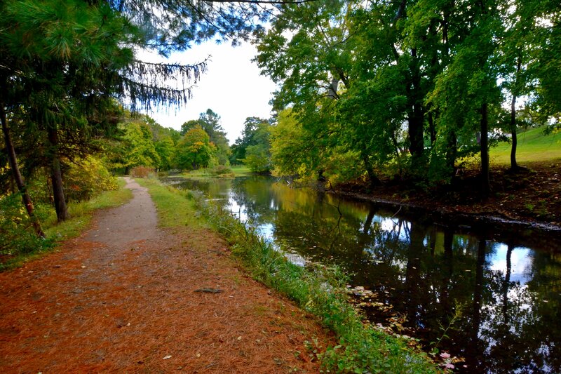 Path Beside River — Green