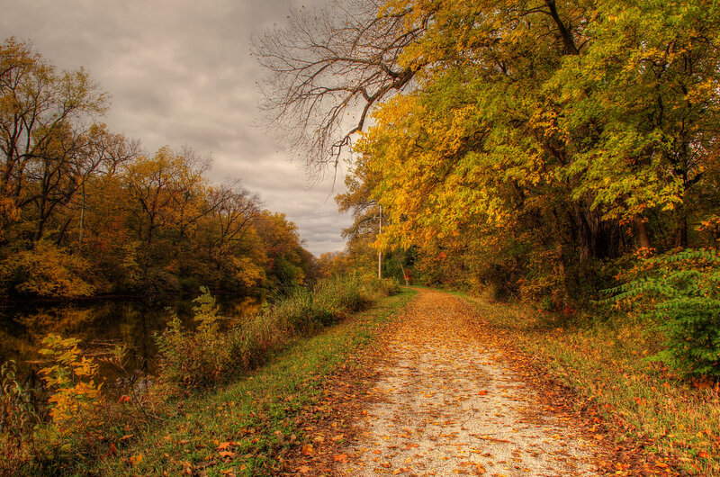 Path Beside River in Autumn
