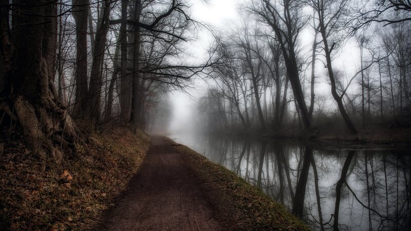 Path Beside River in Forest