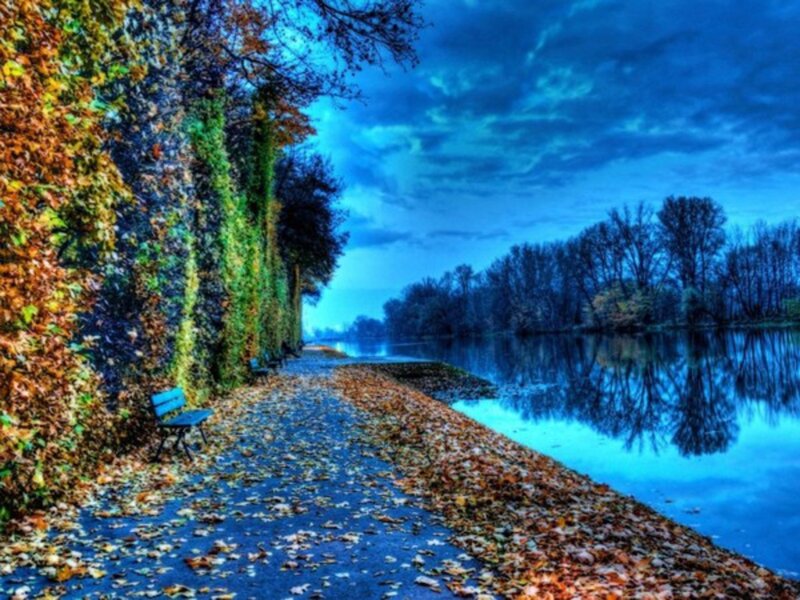 Path Beside River