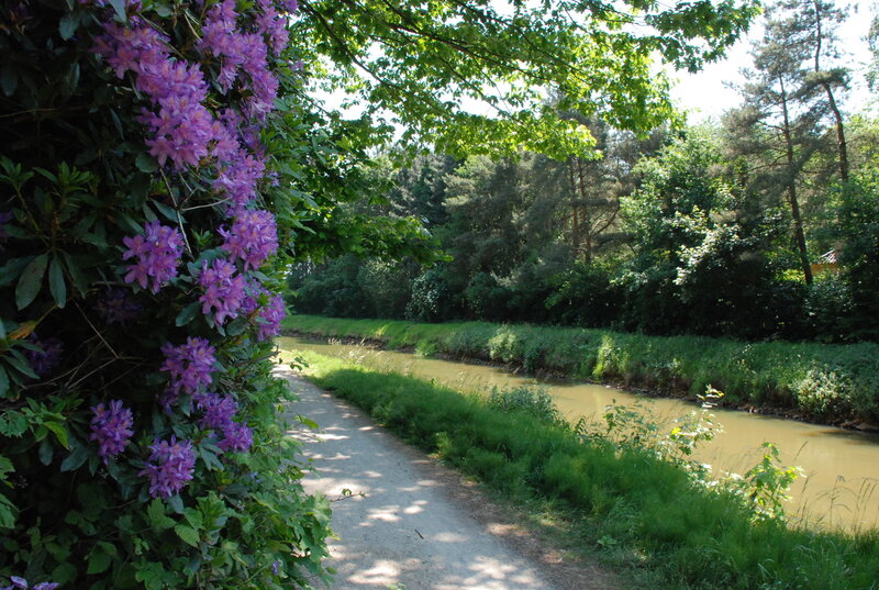 Path Beside River with Flowers