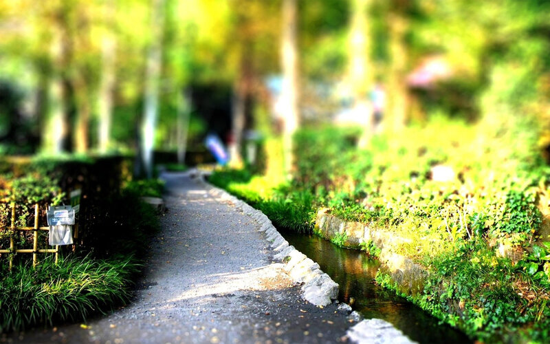 Path Beside Stream in Park