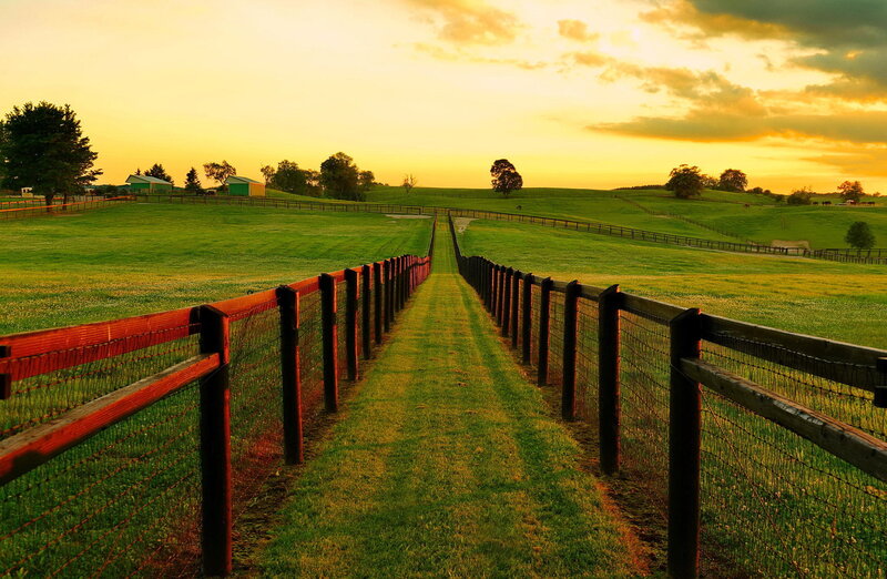 Path Between Fences
